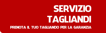 Servizio Tagliandi